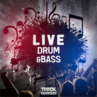 Thick sounds live drum   bass cover