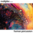 Blind audio multiplier audio human percussion cover