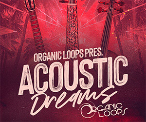 Loopmasters ad banner 300