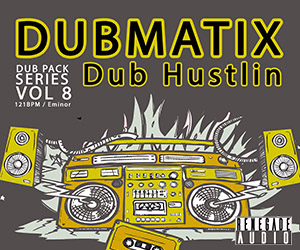 Loopmasters renegade audio dub pack series volume 8 dub hustlin