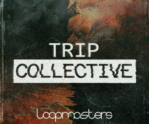 Loopmasters tc 300x250