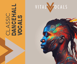 Loopmasters vital vocals classic dancehall vocals 300x250