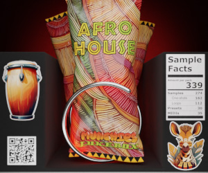 Loopmasters main 1 300x250