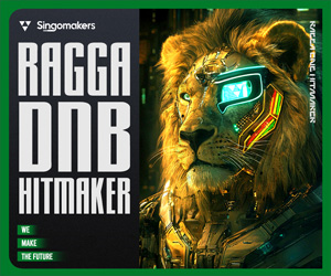 Loopmasters singomakers ragga dnb hitmaker 300 250