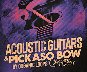 Loopmasters pb banner 300