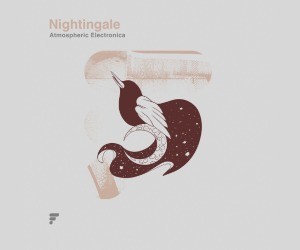 Loopmasters nightingale 300x250