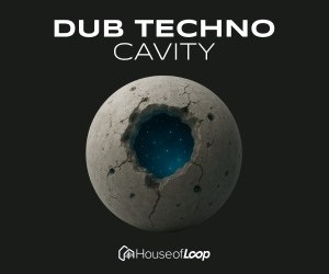 Loopmasters dub techno cavity