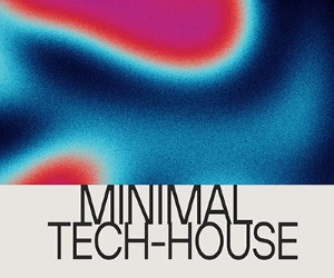 Loopmasters mth 300x250