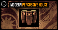 Industrial strength modern percussive house banner