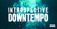 Thicksounds introspectivedowntempo 512 web