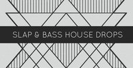 Slap   bass house drops 1000x512web
