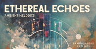 Famous audio ethereal echoes banner