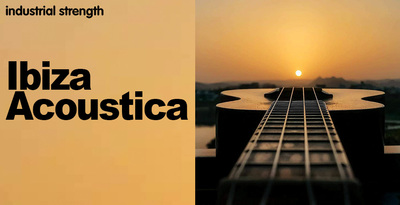 Industrial strength ibiza acoustica banner