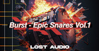 Burst - Epic Snares Vol. 1