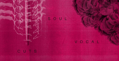 Wavetick soul vocal cuts banner