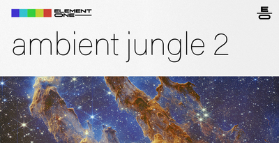 Element one ambient jungle 2 banner