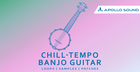 Chill-Tempo Banjo Guitar