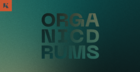 Organic Drums