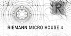 Riemann Micro House 4