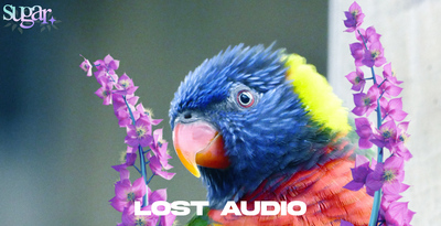 Lost audio sugar granular sample pack banner