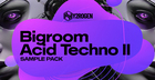 Bigroom Acid Techno 2