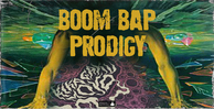 Bfractal music boom bap prodigy banner