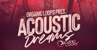 Acoustic Dreams