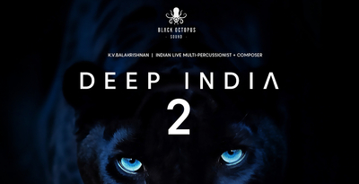 Black octopus sound deep india volume 2 banner