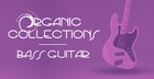 Organic Collections - Bass Guitar