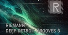 Riemann Deep Detroit Grooves 3