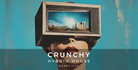 Zenhiser crunchy hybrid house banner