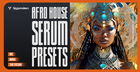 Afro House Serum Presets