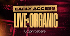 Live organic rectangle