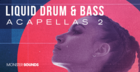 Liquid Drum & Bass Acapellas Vol2