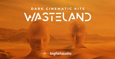 Wasteland 512