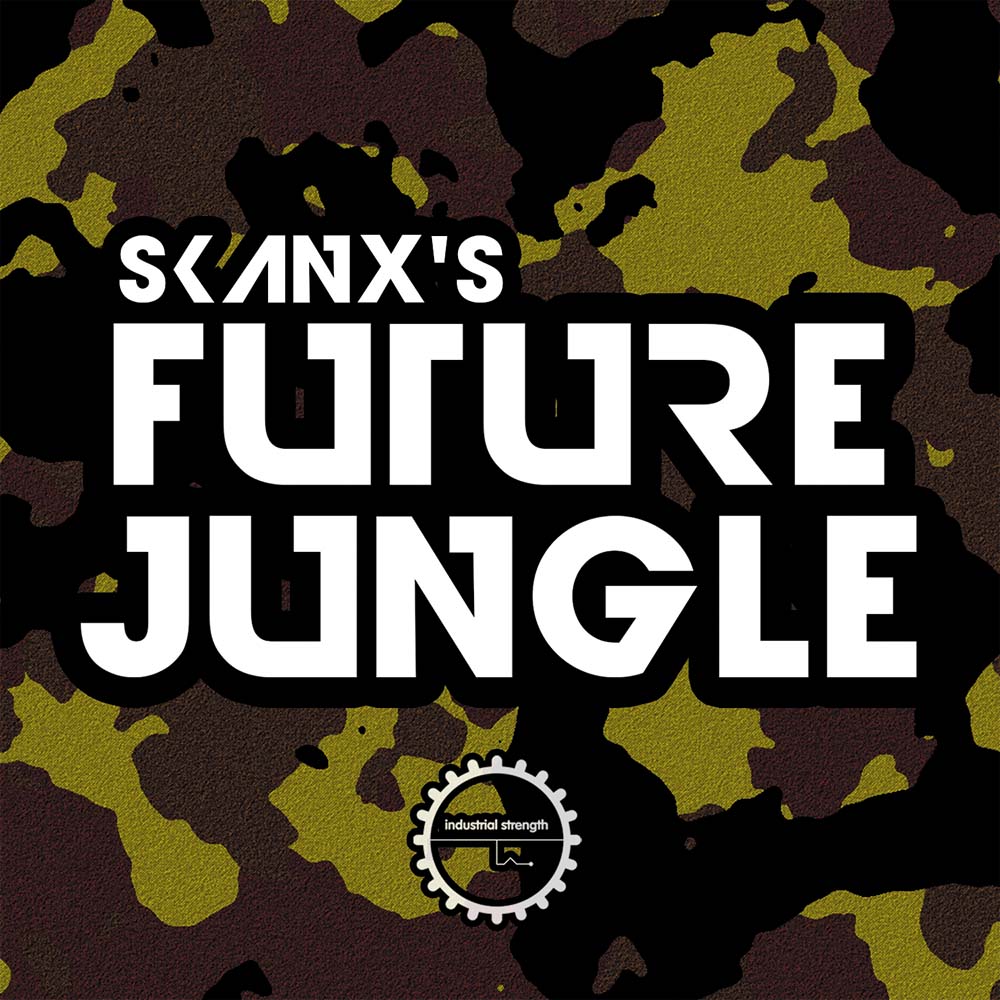 Джангл музыка. Джангл сэмплы Jungle DNB обложки. Future Jungle. Jungle Drum and Bass. Industrial strength - Chris Swiss Breakbeats.