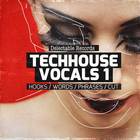 Tech house vocals 1 1000web