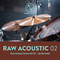 Noise design raw acoustic 02 downtempo series by rawtekk cover