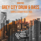 Onezero samples brain grey city drum   bass cover