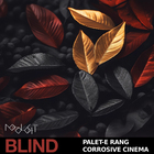 Blind audio palet e rang corrosive cinema cover