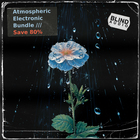 Blind audio atmospheric electronic bundle cover