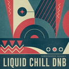Famous audio liquid chill dnb cover