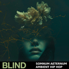 Blind audio somnum aeternum ambient hip hop cover