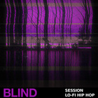 Blind audio session lo fi hip hop cover