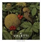 Valetti   organic house samples   zenhiser 1000