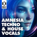 Keep it sample amnesia techno   house vocals cover