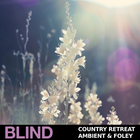 Blind audio country retreat ambient   foley cover
