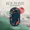 Big fish audio koi pond cover