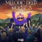 Dropgun samples melodic deep house 3 cover