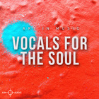 Aim audio vocals for the soul cover